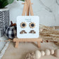 Sunny Autumn Stud Pack